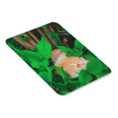 Magnet Flexible Impression de phot du chat de point de vue mignon (Côté Droit)