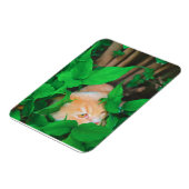 Magnet Flexible Impression de phot du chat de point de vue mignon (Côté Gauche)