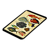 Magnet Flexible impression de poisson d'époque (Côté Gauche)