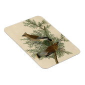 Magnet Flexible Impression d'oiseau de John James Audubon Jaseur b (Côté Droit)