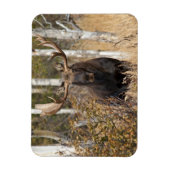 Magnet Flexible Impressionnant orignal (Vertical)