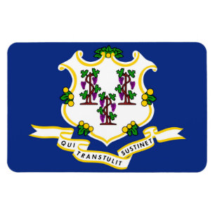 Magnet Flexible Indicateur Connecticut State