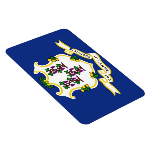 Magnet Flexible Indicateur Connecticut State (Côté Droit)