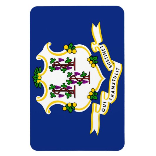 Magnet Flexible Indicateur Connecticut State (Vertical)