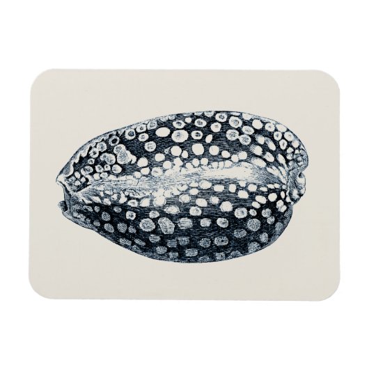 Magnet Flexible Indigo Seashell (Horizontal)