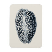 Magnet Flexible Indigo Seashell (Vertical)
