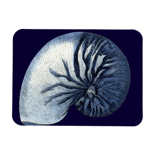Magnet Flexible Indigo Shells VII (Horizontal)