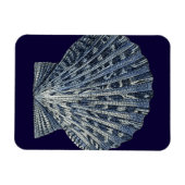 Magnet Flexible Indigo Shells VIII (Horizontal)