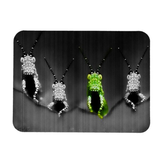 Magnet Flexible Insecte vert grumeleux (Horizontal)
