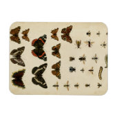 Magnet Flexible Insectes de jardin par Vision Studio (Horizontal)
