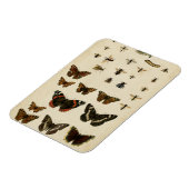 Magnet Flexible Insectes de jardin par Vision Studio (Côté Gauche)