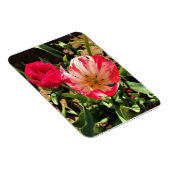Magnet Flexible Inside a Pink et White Tulip (Côté Droit)