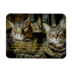 Magnet Flexible Inspiration - Tous les chats sont uniques
