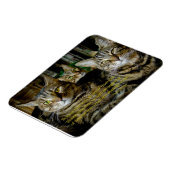 Magnet Flexible Inspiration - Tous les chats sont uniques (Côté Gauche)