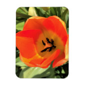 Magnet Flexible Intérieur de la tulipe orange (Vertical)