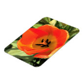Magnet Flexible Intérieur de la tulipe orange (Côté Gauche)