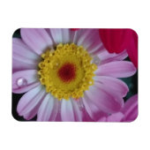 Magnet Flexible Invitation (Horizontal)