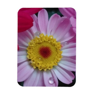 Magnet Flexible Invitation