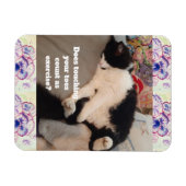 Magnet Flexible Invitation d'anniversaire pour enfant avec un chat (Horizontal)