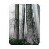 Magnet Flexible Invoquer la forêt (Vertical)