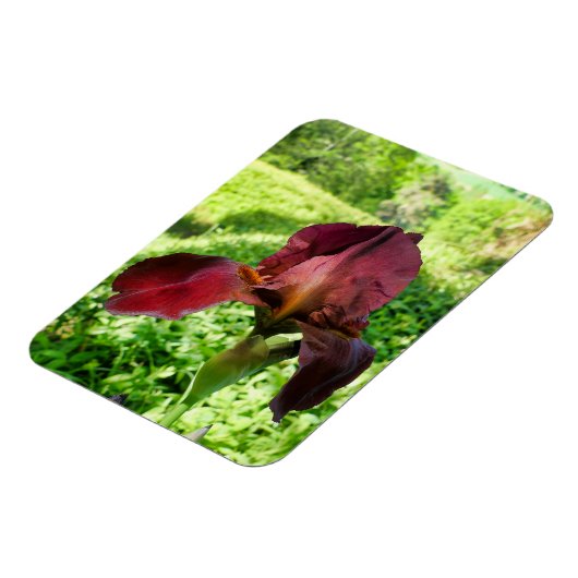 Magnet Flexible Iris à poils (Côté Gauche)