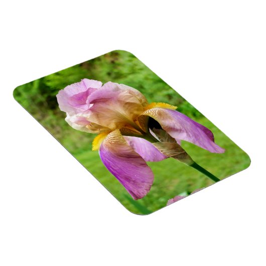 Magnet Flexible Iris à poils (Côté Droit)