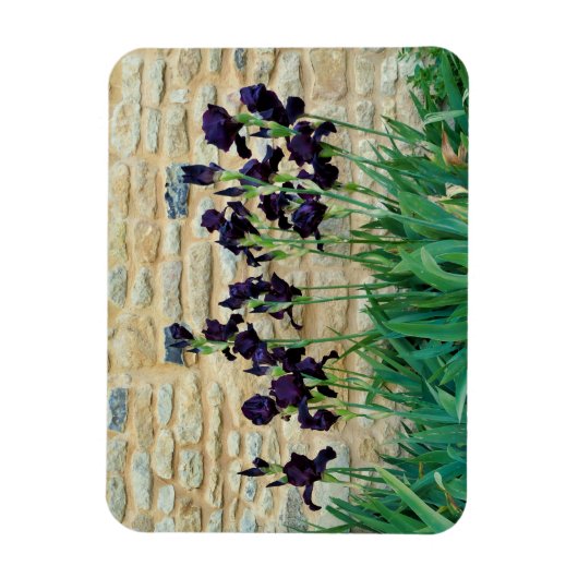 Magnet Flexible Iris à poils (Vertical)