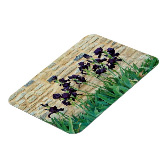 Magnet Flexible Iris à poils (Côté Gauche)