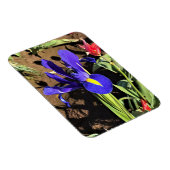 Magnet Flexible Iris à Tulip Field, Woodburn, Oregon (Côté Droit)