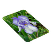 Magnet Flexible Iris bleu (Côté Droit)