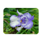 Magnet Flexible Iris bleu (Horizontal)