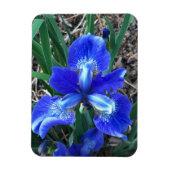 Magnet Flexible Iris bleu (Vertical)