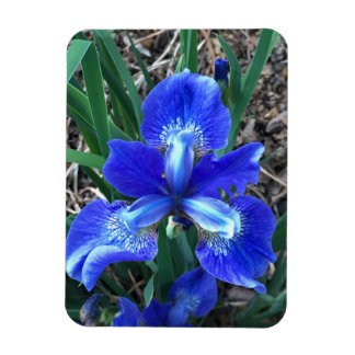 Magnet Flexible Iris bleu