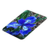 Magnet Flexible Iris bleu (Côté Gauche)