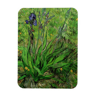 Magnet Flexible Iris de Vincent van Gogh, Vintage Garden Flowers