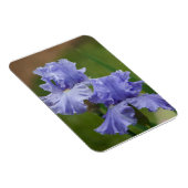 Magnet Flexible Iris Délice (Côté Droit)