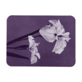 Magnet Flexible Iris Fine Art (Horizontal)