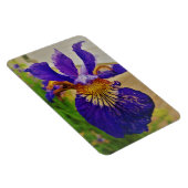 Magnet Flexible Iris Fleur de Lys Bleu Canada Québec (Côté Droit)