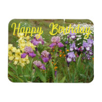 Iris iris fleurs fleuris Cottage Jardin