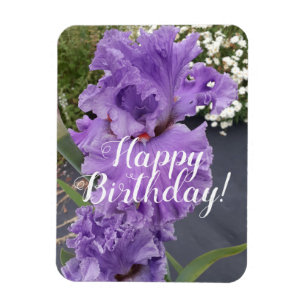 Magnet Flexible Iris Irises Fleur violet Carte d'anniversaire
