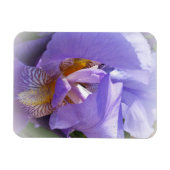 Magnet Flexible iris pourpre (Horizontal)