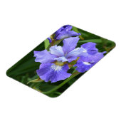 Magnet Flexible Iris pourpre (Côté Gauche)