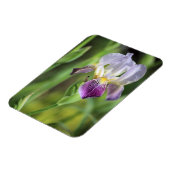 Magnet Flexible Iris Violet Dans Le Soleil (Côté Gauche)