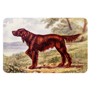 Magnet Flexible Irish Setter 1900