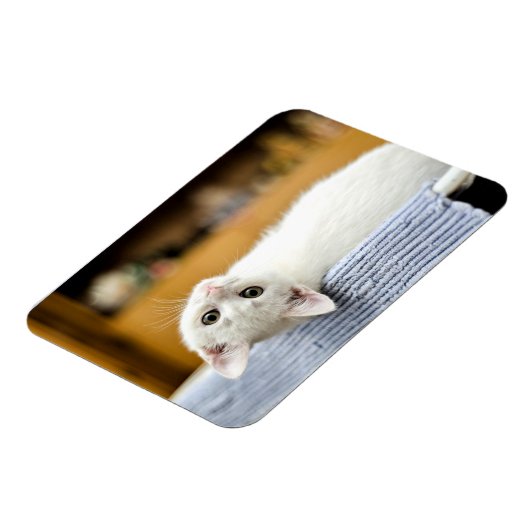 Magnet Flexible Irrésistible...chatte adorable et énorme (Côté Gauche)