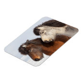 Magnet Flexible Islandais Profil de cheval, Islande (Côté Gauche)