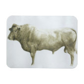 Magnet Flexible Islay Bull 2004 (Horizontal)