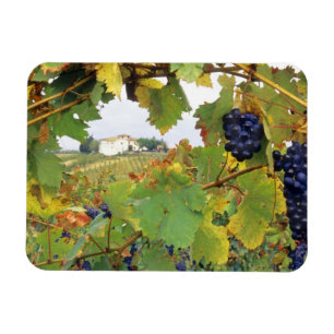 Magnet Flexible Italie, Toscane Ferme vue par
