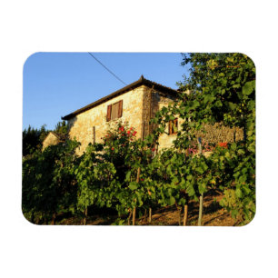 Magnet Flexible Italie, Toscane, Greve. Scènes de vin fin d'été