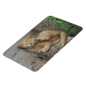 Magnet Flexible Itchy (Côté Gauche)